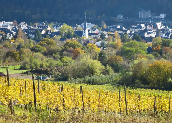 Altes Faehrhaus Anno 1 6 3 3 - Traumferienwohnung In Exponierter Moselufer-lage By Interhome * Traben-Trarbach
