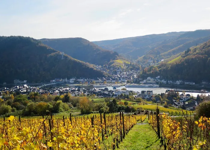 Altes Faehrhaus Anno 1 6 3 3 - Traumferienwohnung In Exponierter Moselufer-lage By Interhome Apartment *